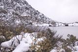 Frozen tarn edged with Fagus