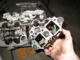 IMG_4031 (Large).JPG