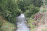 Dismal River