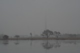 Foggy, Misty Morning at Oak Lake