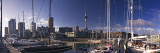 The city skyline from Viaduct Harbour, Auckland, New Zealand