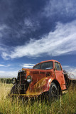 Direlect truck in field near Oamaru, Otago, New Zealand