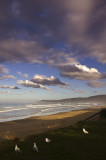 Evening light at Kaka Point, Catlins, Otago