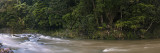 River at Trounson Kauri Park Campground, Northland, New Zealand