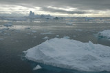 The Ice Fjord