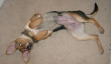 playtime