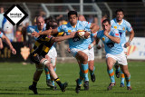 RUGBI USAP-PERPINYA (2).jpg