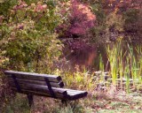 Bench 7