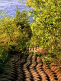 Path to water