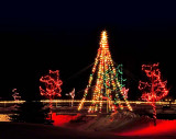 Tree2