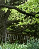 Bench 1