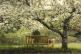 bench 4