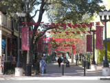 San Antonio Texas February 01-08, 2009