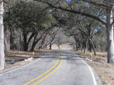 On the back roads to Kerrville from Bandera
