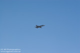IMG_9895.jpg