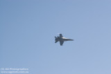 IMG_9897.jpg