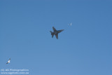 IMG_9924.jpg