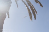 IMG_9955.jpg