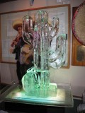 Cactus Liquor Luge