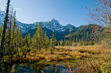 Winter Wetland