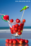 drinks praia 8727.jpg