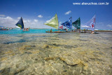 Piscinas naturais de Porto de Galinhas, Ipojuca, Pernambuco 9326.jpg