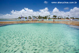 Piscinas naturais salpicada de peixinhos coloridos, Porto de Galinhas, Pernambuco 9334