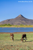 Pico do Cabugi, Lages, Rio Grande do Norte 0339.jpg