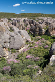 Baixao das Andorinhas, Serra da Capivara, Piaui_6121.jpg