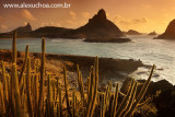 Praia do Sueste, Fernando de Noronha, Pernambuco 8968 090916-2.jpg