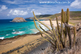 Praia do Leo, Fernando de Noronha, Pernambuco 9704 090918