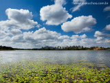 Lagoa do Banana, Cumbuco, Caucaia, Ceara, 2531, dez09.jpg