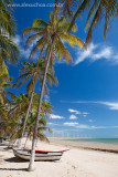 Icarai de Amontada, Ceara, 6381.jpg
