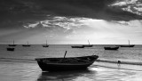 Bitupita, Ceara, 2325, 20100607.jpg