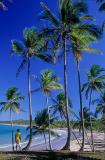 Praia da Cueira, Ilha de Boipeba