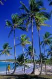 Praia da Cueira, Ilha de Boipeba