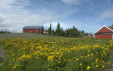 Heimdal - Landscapes west of Trondheim