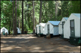 Curry Village: tents and bear-proof storage containers