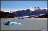 Glaciar Grey (Grey Glacier) is in the distance