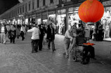 Red Globe - Damascus