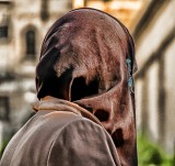 Veil