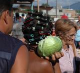 Lettuce and rollers - Trinidad