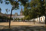 Orange trees square