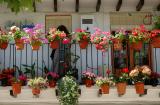 Balcony - Cazorla