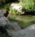 Refreshing in the Borosa River