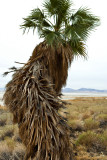 zzyzx