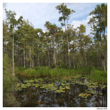 sept_5_2009