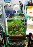 10 Liter Nano Tank by Oliver Knott