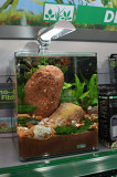 20 Liter Nano Tank by Oliver Knott
