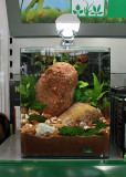 20 Liter Nano Tank by Oliver Knott